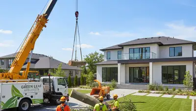 Professional landscaping and tree removal in Richmond, VA transforming yards and clay soil areas