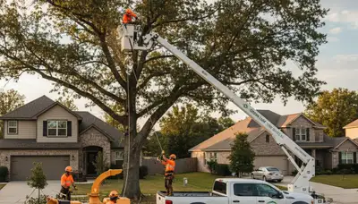 Certified arborists performing professional tree removal in Richmond, VA backyard