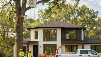 Professional tree removal service in Richmond, VA by Chop Chop Tree experts safely clearing property