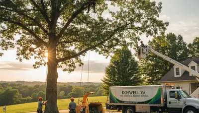 Professional tree removal service in Richmond VA safely cutting down large oak tree